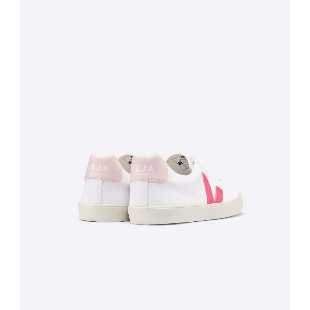 Women's Veja ESPLAR SE CANVAS Sneakers White/Pink | ZA 608EBC